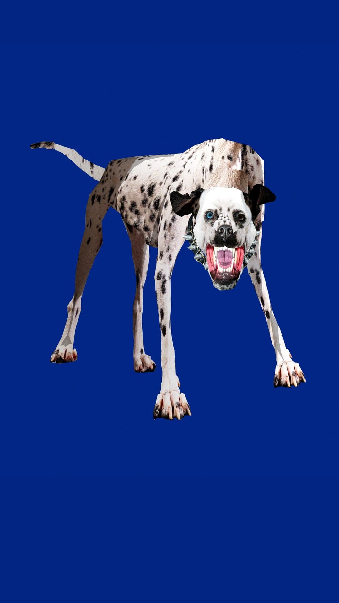 A spotted dog in a spiked collar bares its teeth, legs splayed, on a deep blue field: the single artwork for NSQK and Jean Dawson's 'Dientes De Fierro'