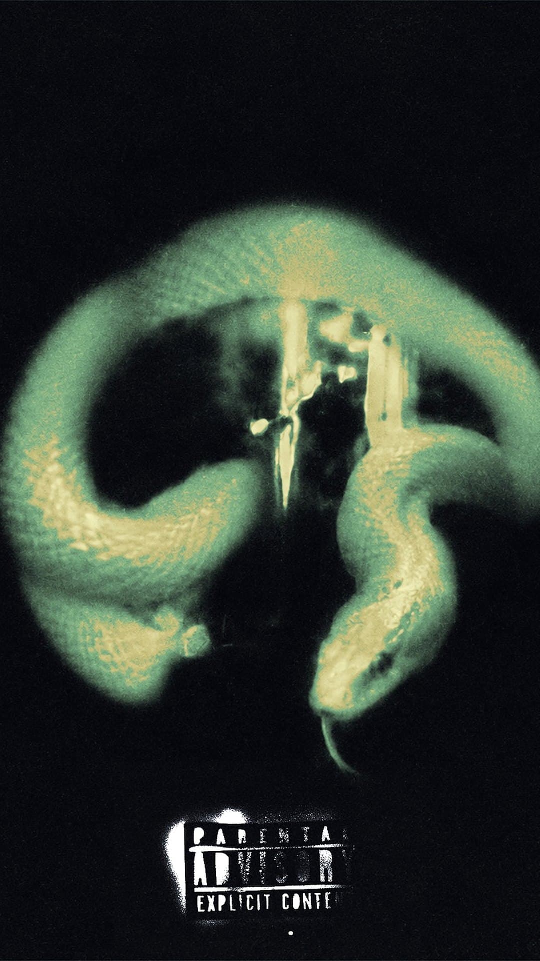 The 'Shotta's.' single artwork: a pale green snake coiled around a dark, blurred shape on a black background, with a parental advisory label below
